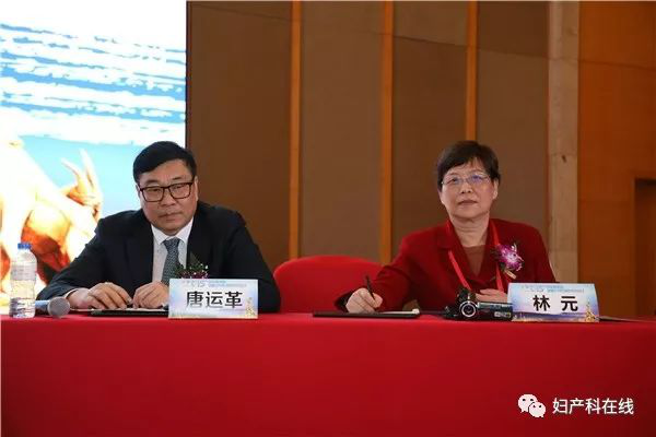 圖片19.png 圖片19.png